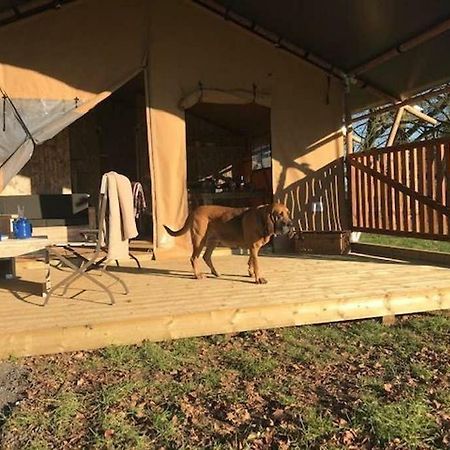 Lapwing Safari Tent Cheltenham Eksteriør bilde