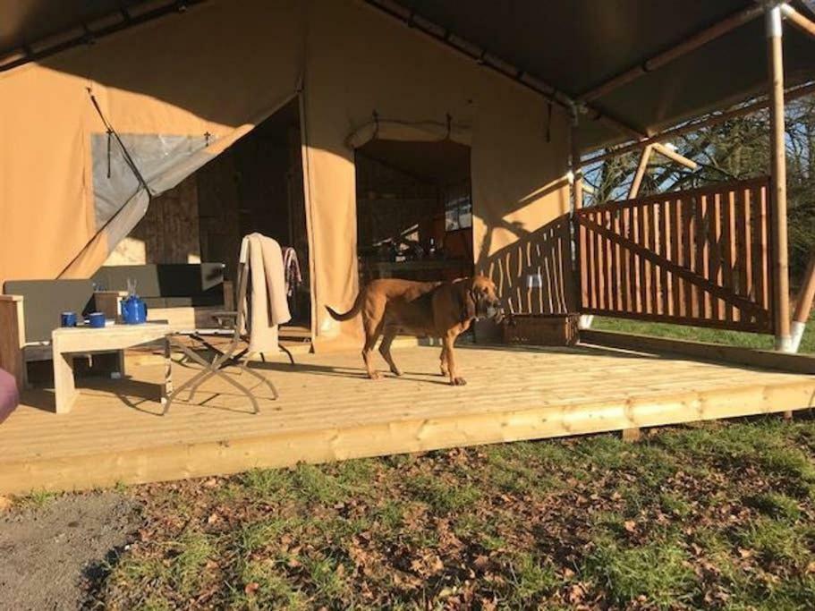 Lapwing Safari Tent Cheltenham Eksteriør bilde
